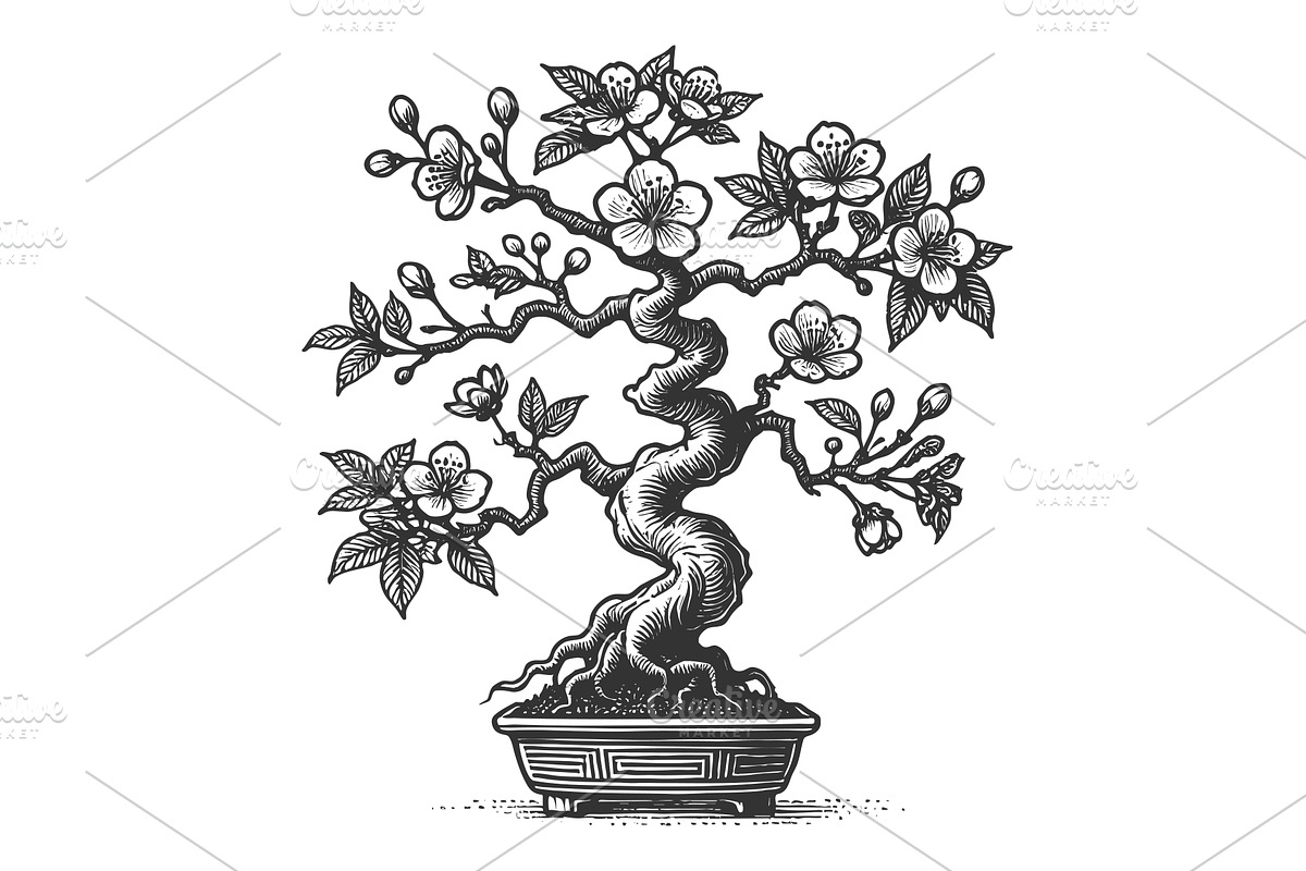 Blossoming Bonsai Cherry Tree in Pot, an Object Illustration by AlexArt