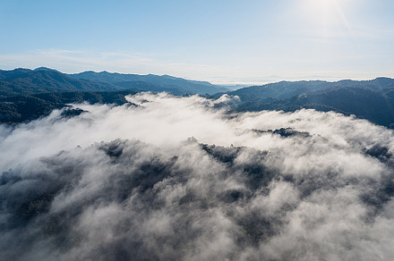 Fog and mountains in the morning forest, a Nature Photo by Art Rachen