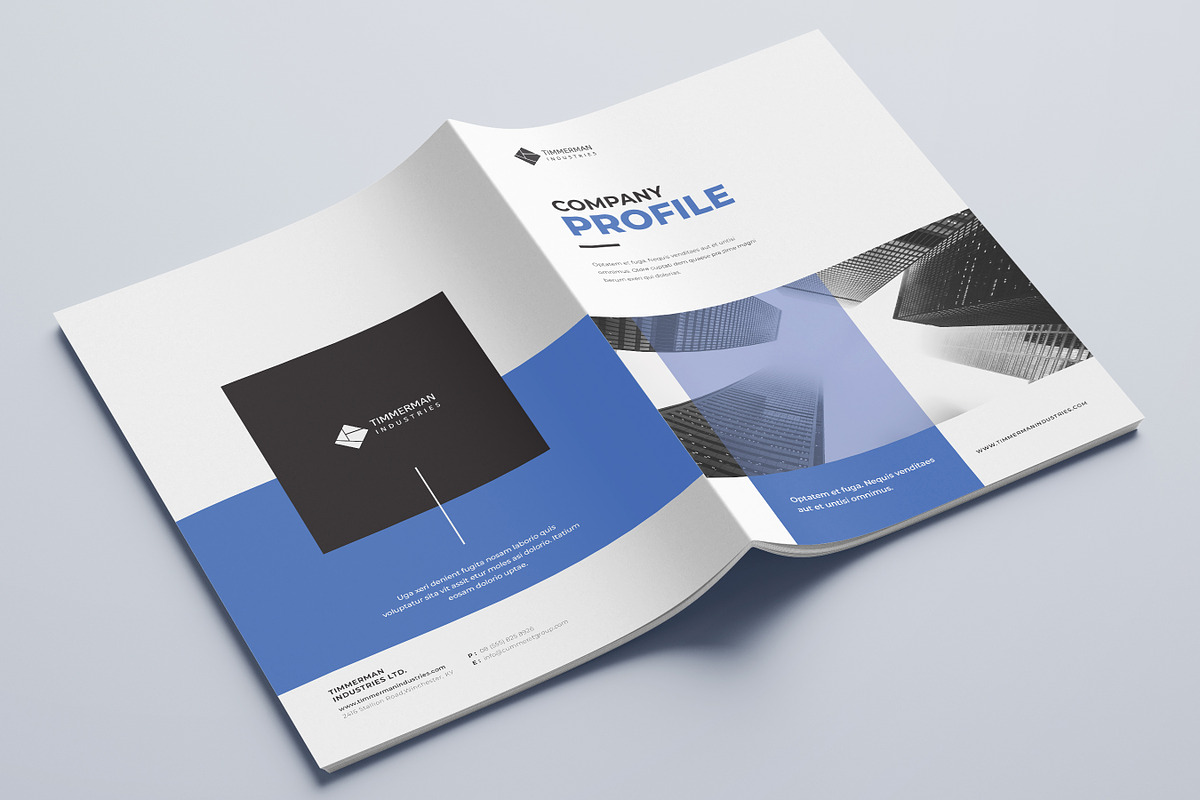Company Profile Template | Handbook, a Brochure Template by Niofix (Photo 6 of 6)