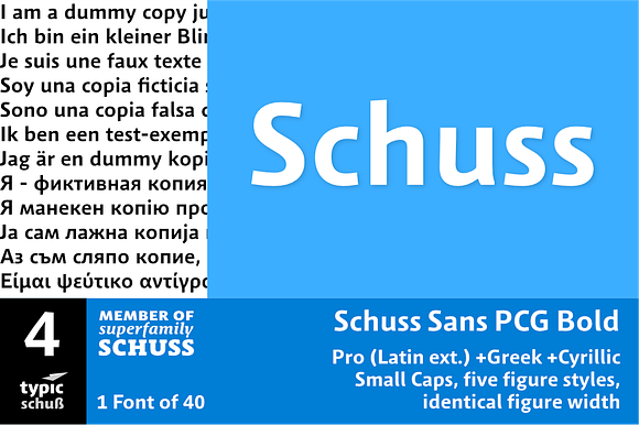 SchussSansPCGBold No.04 (1 Font) preview 6