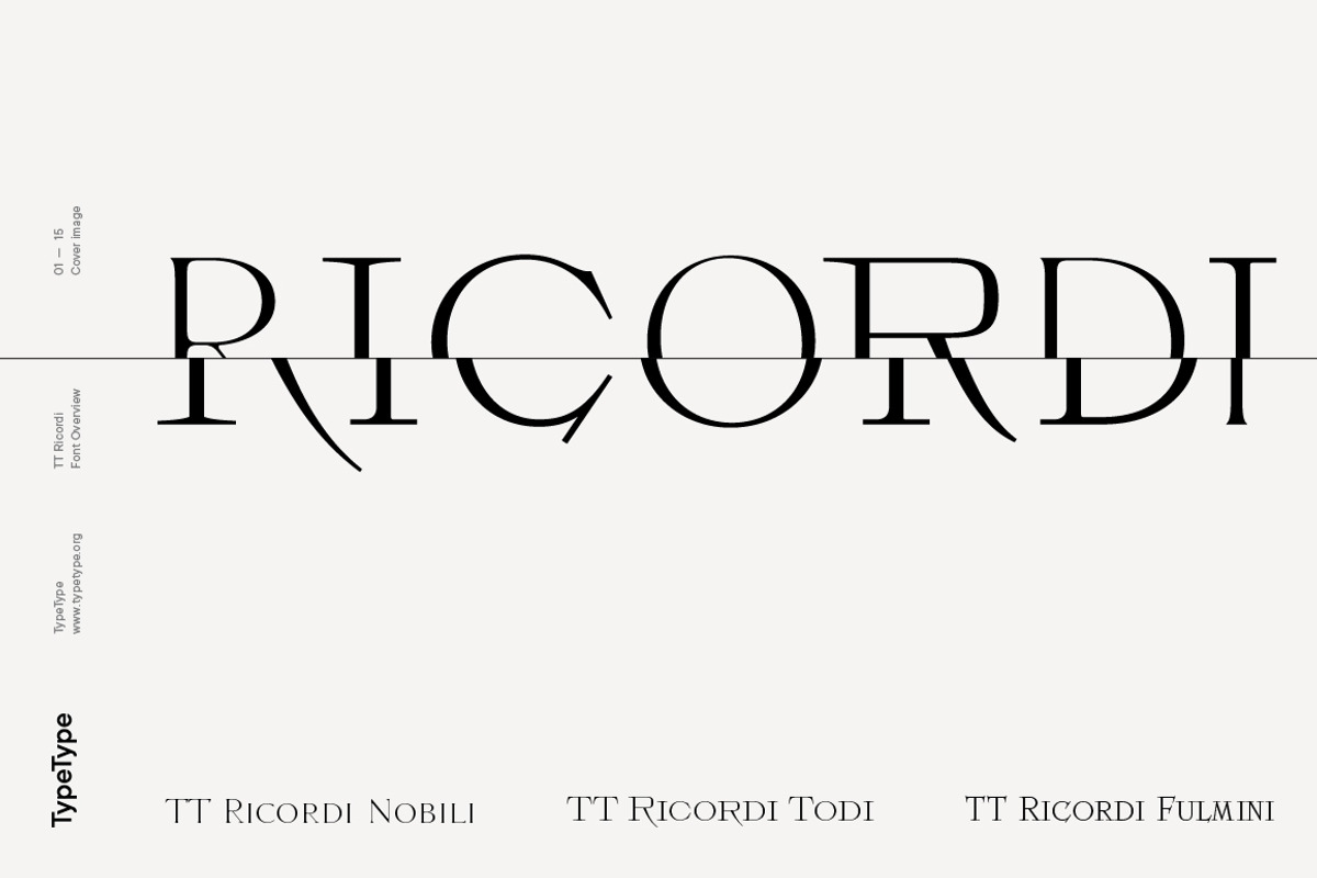 TT Ricordi, a Serif Font by TypeType (Photo 1 of 15)