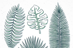 Set isolated palm leaves in sketch
