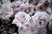 A Garden of Roses | Wedding, Events, a Nature Photo by Farewell (Thumbnail 21 of 41)