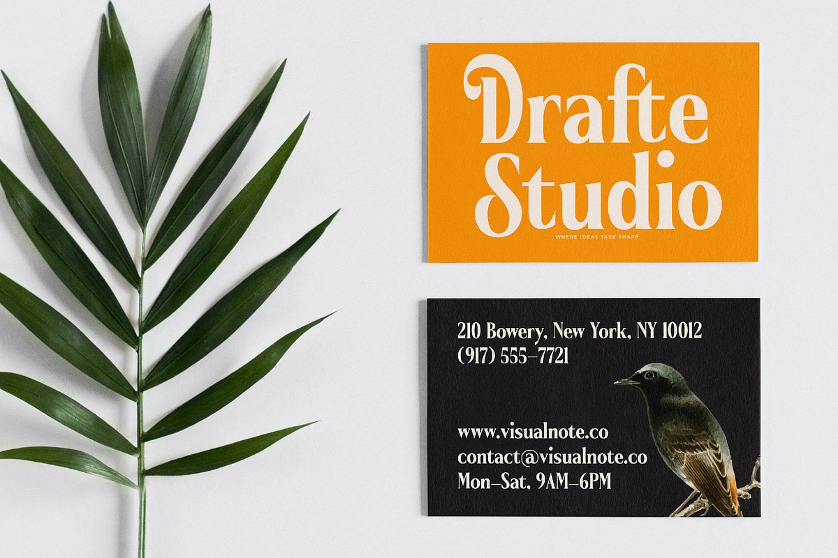 Belasfa Cantter Modern Serif Font, a Serif Font by timelesstype.co (Photo 13 of 20)