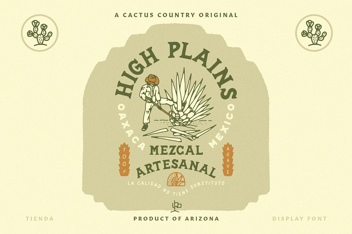 Tienda Display Font, a Serif Font by Cactus Country (Photo 4 of 6)