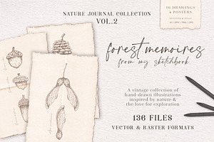 Forest sketchbook vintage collection