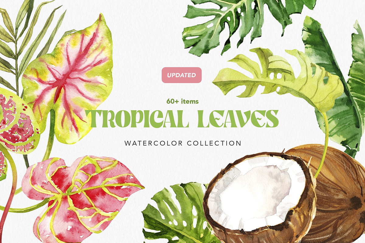 Botanical BUNDLE 10 in 1, a Decorative Illustration by Volha Studio (Photo 6 of 11)