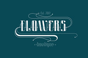 Roadster font family + Extras, a Script Font by Fontop (Thumbnail 8 of 26)