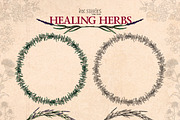 Healing Herbs * Botanical Bundle, a Healthcare Illustration by Ink Stories (Thumbnail 9 of 13)