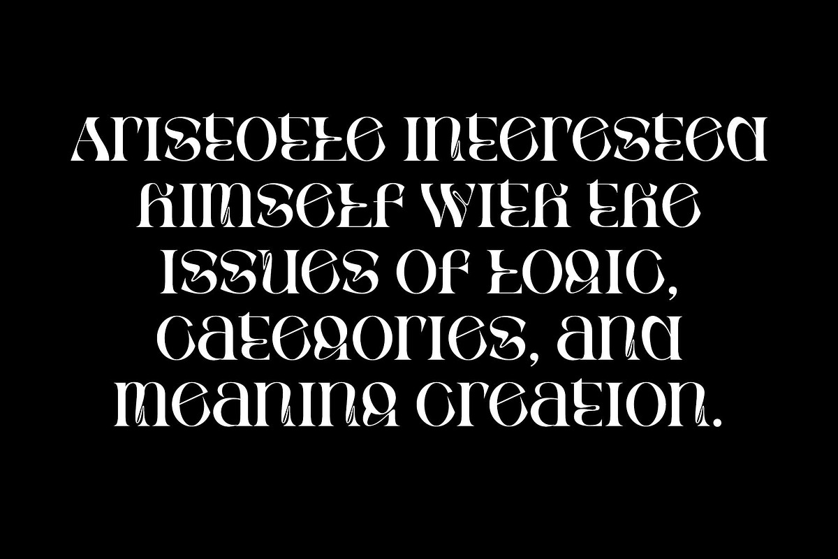 Rghs Font Family, a Serif Font by Ryul Davidson (Photo 14 of 15)
