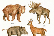 Watercolor Forest Animals Clipart, a Graphic by svetodesign (Thumbnail 4 of 12)
