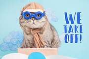 Funny Cat Pilot, an Animal Photo by AnStore (Thumbnail 3 of 3)