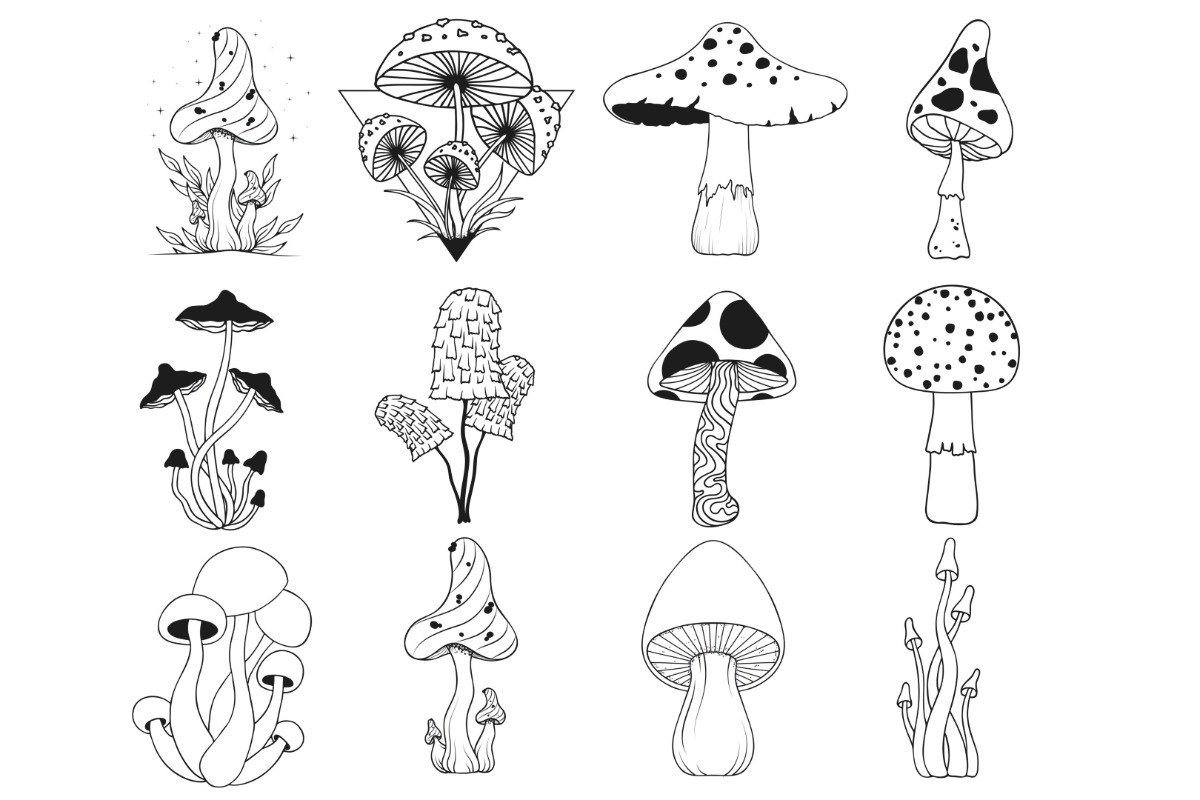 Mushrooms Set 3 Procreate Brush, a Brush Add-On by Disasterology Ink (Photo 9 of 10)