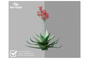 84 Desert Plants Photo Overlays, a Nature Photo by KenScape (Thumbnail 2 of 3)