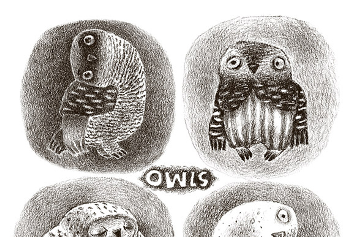 Tiny Owls Album, an Animal Illustration by Mazheika Store (Photo 9 of 9)