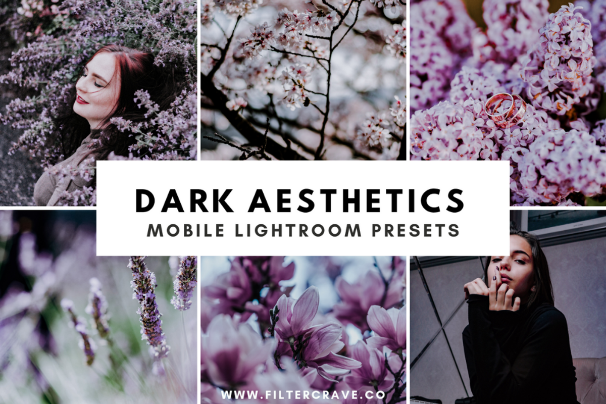 Dark Aesthetic Mobile Presets, a Plug-in Add-On by Filtercrave (Photo 10 of 11)