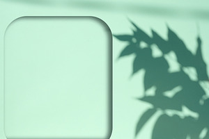 Stage for product display and advertising with shadow from branc, a Background Photo by ndanko