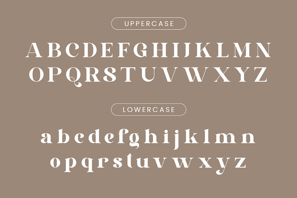 Dibali - Modern Typface Serif, a Serif Font by AnnofaType (Photo 6 of 8)