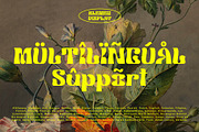 Klemer Display, a Font by Prioritype Co (Thumbnail 10 of 10)