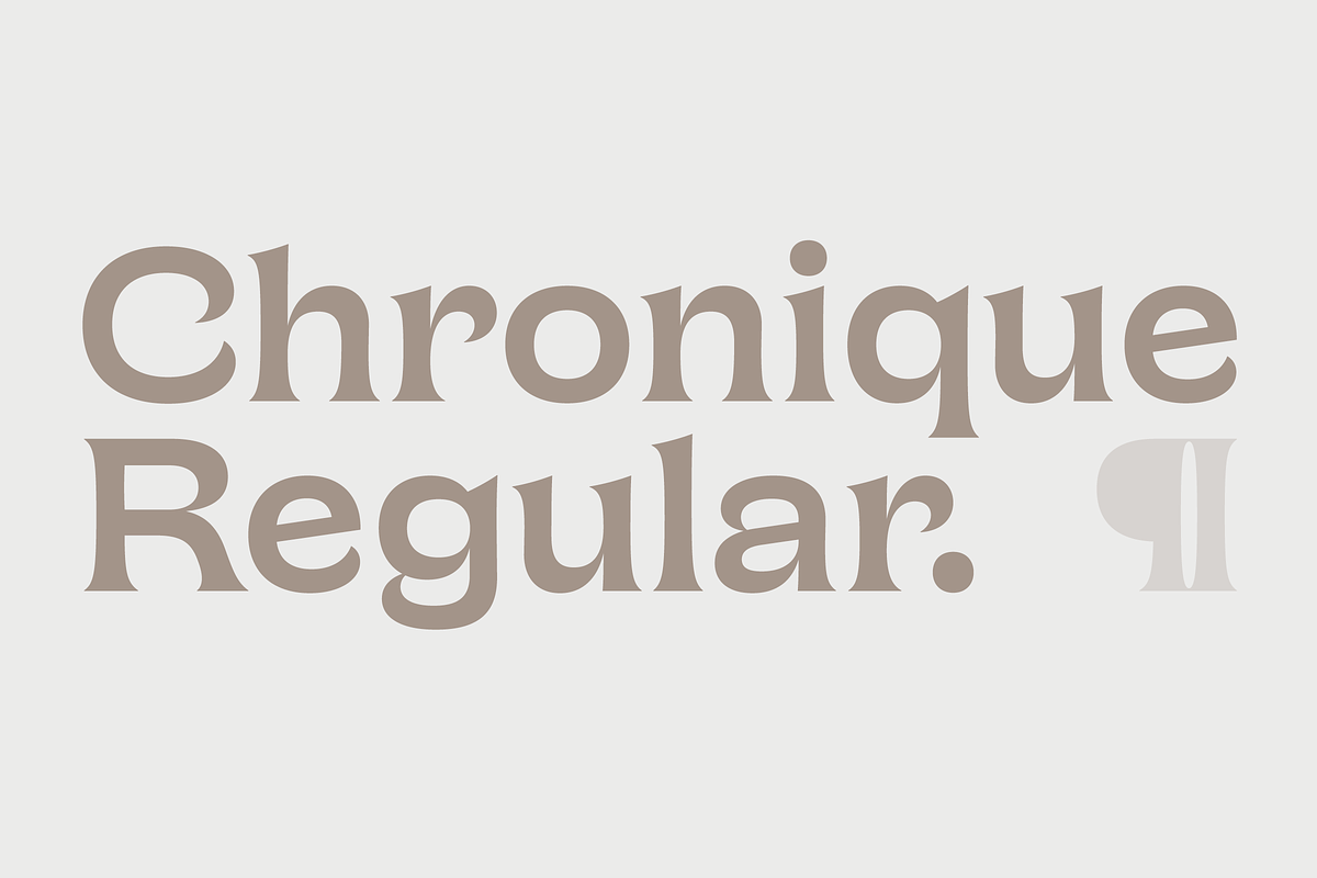 Chronique, a Serif Font by Haus Type (Photo 1 of 7)