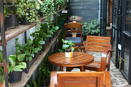 interior of cafe