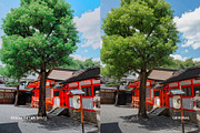 Kodak Ektar 100 IV, a Preset Add-On by colorituals (Thumbnail 6 of 8)