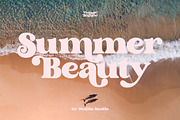Brighton Vintage - Modern Serif Font, a Serif Font by dealitastudio (Thumbnail 3 of 10)