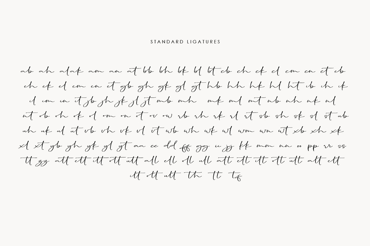 Grotesque Script, a Script Font by Artic Type (Photo 8 of 8)