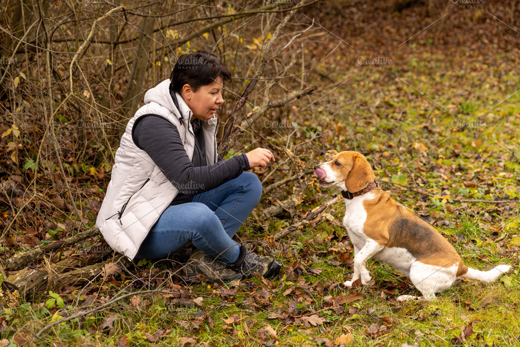 Woman training beagle dog, a Photo by Grafvision photography