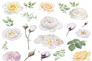 Watercolor White Floral Clipart Set, an Illustration by Digi_Design_World (Thumbnail 3 of 5)