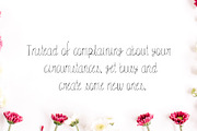 Amidala Script Font, a Script Font by Creativetacos (Thumbnail 4 of 5)