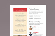 Business Fact Sheet Flyer, a Flyer Template by MightyDesign (Thumbnail 4 of 8)