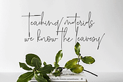 Roselle, a Script Font by GRAPHICPRESS (Thumbnail 3 of 9)