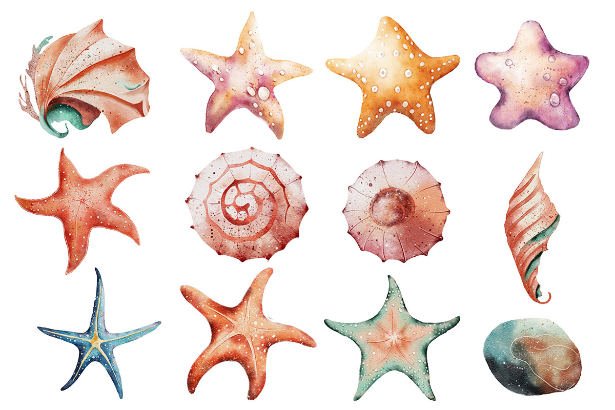 Seashells Watercolor Illustrations, an Object Illustration by Evgeniia (Photo 2 of 3)