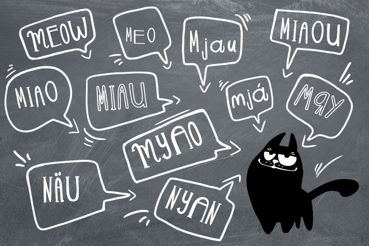 LAZY MEOW. Handwitten fonts+cliparts, a Handwritten Font by Ivanna-Ivashka (Photo 6 of 12)