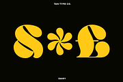TAN - DAISY, a Serif Font by TanType (Thumbnail 7 of 14)