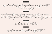 Wild Magnolia Luxury Script, a Script Font by theinkaffair (Thumbnail 13 of 13)