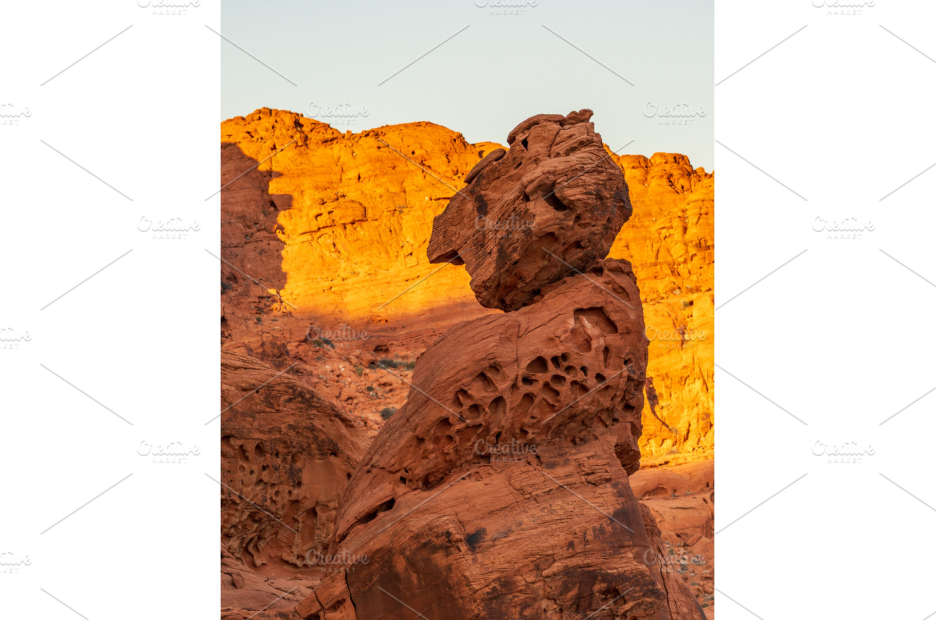 Dramatic aztec sandstone formation, an Animal Photo by Backyard Stock