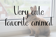 Cute Bunny, a Handwritten Font by InermediaSTUDIO (Thumbnail 8 of 8)