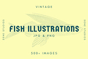 500+ Vintage Fish Illustrations, an Illustration by Dene Studios (Thumbnail 1 of 15)