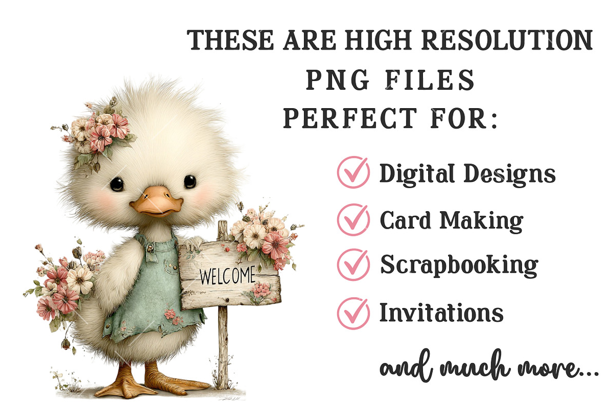 Whimsical Summer Goose Clipart, an Illustration by OK Design (Photo 4 of 6)