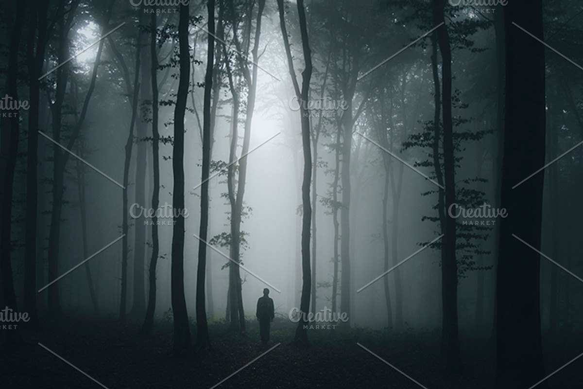 Mysterious forest halloween pack stock photo containing dark and eerie, a Nature Photo by Atmospheric visuals (Photo 3 of 5)