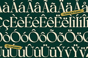 OV Treasure Retro Serif Font Family, a Serif Font by OV Type (Thumbnail 21 of 21)