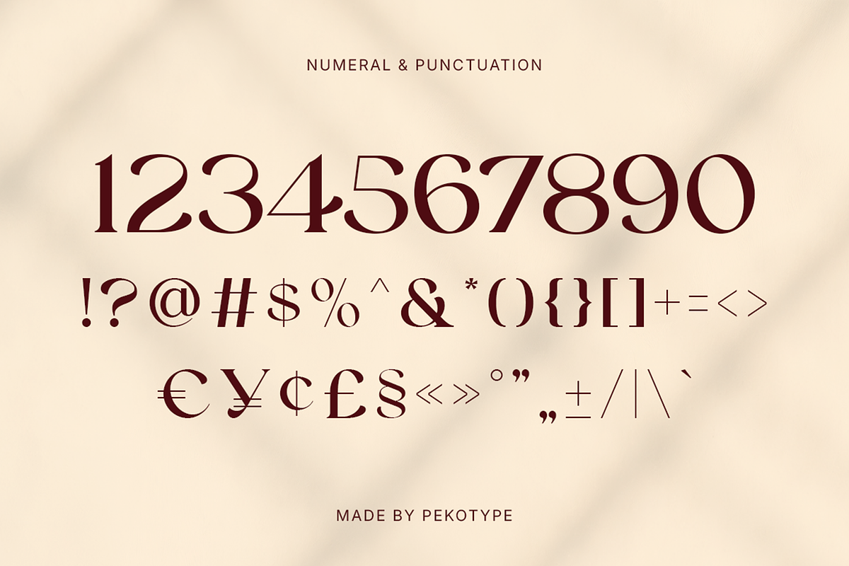 Reinsa - Elegant Modern Logo Font, a Sans Serif Font by Pekotype (Photo 4 of 15)