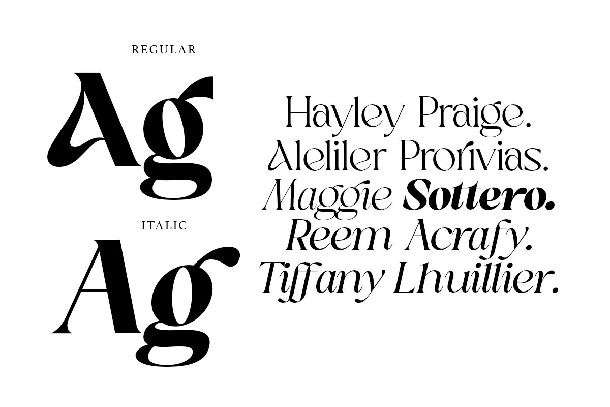 Sakem Elegance Serif Family (20 Font, a Font by Madjack.font (Photo 3 of 20)
