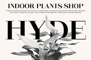 CS Albert – Classic Font, a Serif Font by Craft Supply Co. (Thumbnail 4 of 8)