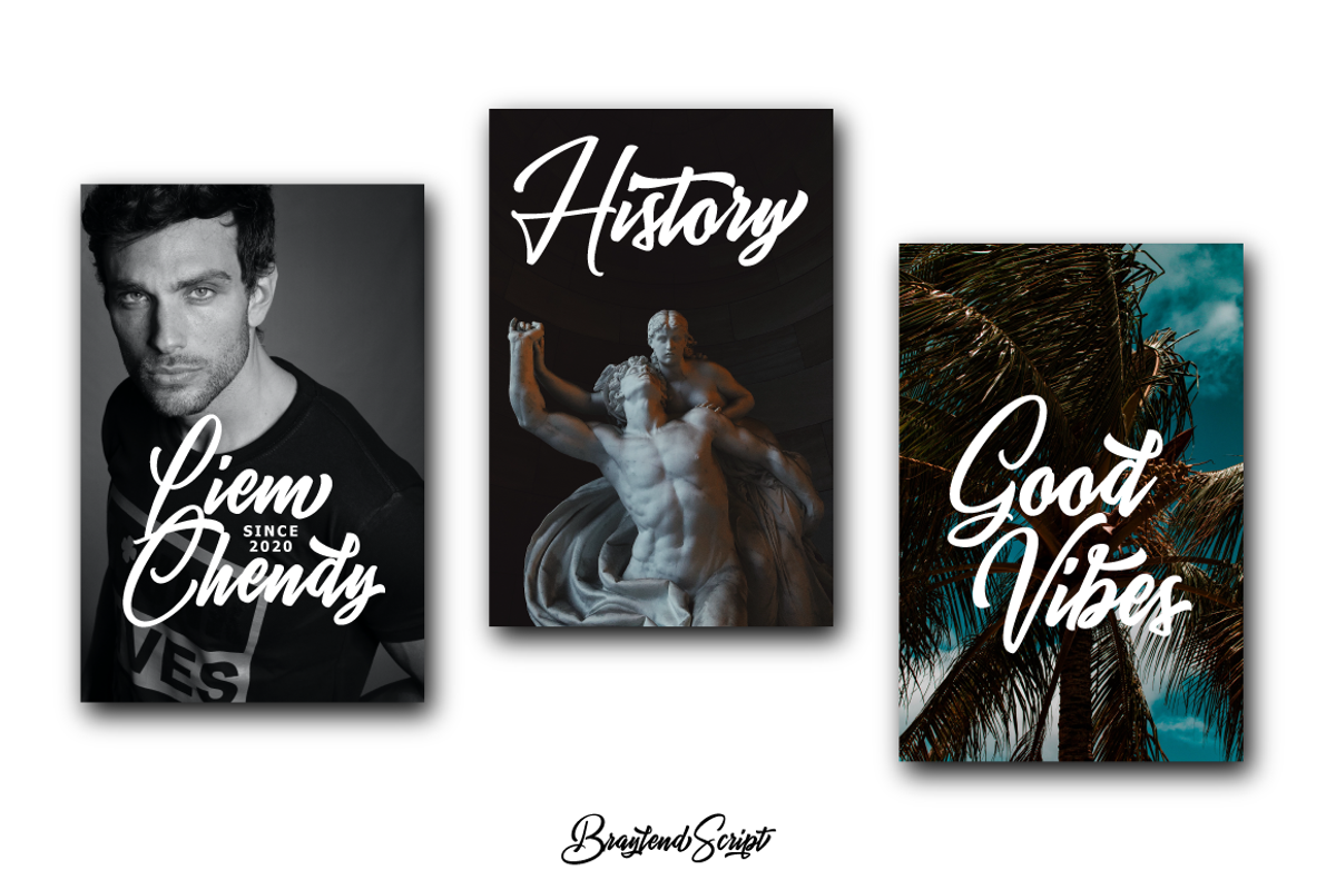 Braylend - Logotype Script, a Script Font by tebaltipislab (Photo 2 of 12)