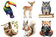 Watercolor Animal Clipart Bundle, an Illustration by SinaCreation (Thumbnail 3 of 5)