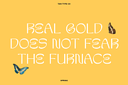 TAN-SPRING, a Sans Serif Font by TanType (Thumbnail 8 of 13)
