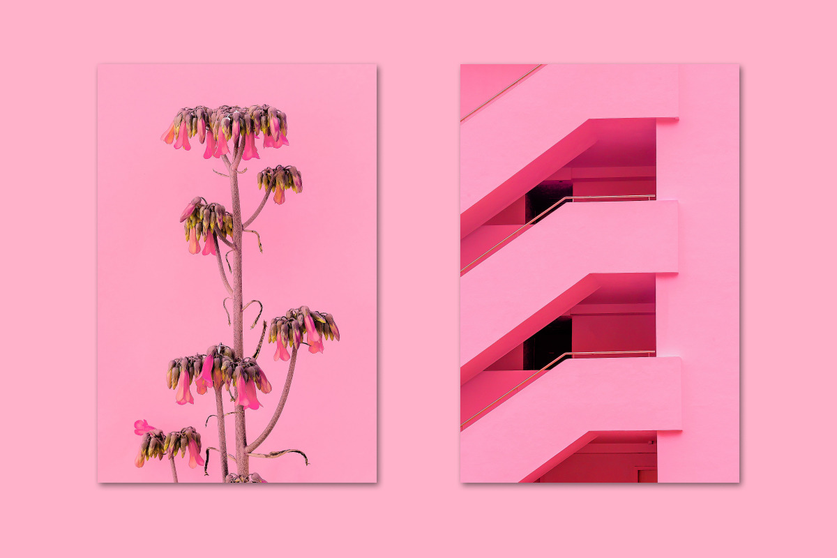 Minimalist pink bundle 18, a Person Photo by Jenya Porechenskaya (Photo 6 of 7)